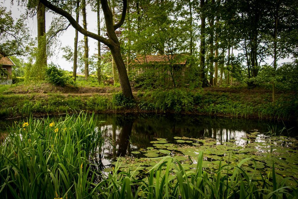 Thil'S Bed And Breakfast Ambt Delden Extérieur photo